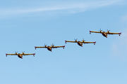 UD.13-20 - Spain - Air Force Canadair CL-215T aircraft