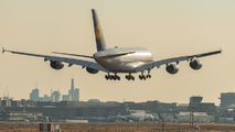 Lufthansa D-AIMM image