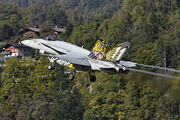 J-5011 - Switzerland - Air Force McDonnell Douglas F-18C Hornet aircraft