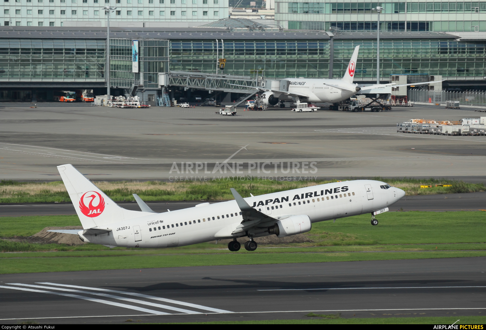 JAL - Japan Airlines JA307J aircraft at Tokyo - Haneda Intl