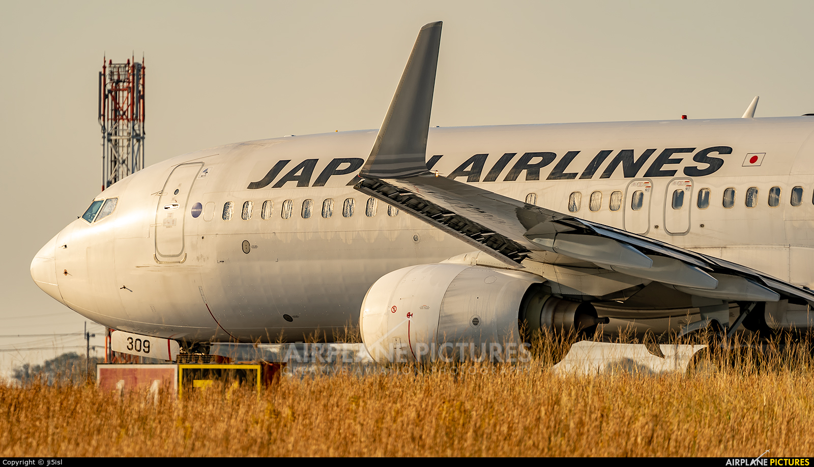 JAL - Japan Airlines JA309J aircraft at Kōchi