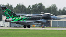 Germany - Air Force 31+00 image