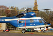 Poland - Police SN-31XP image