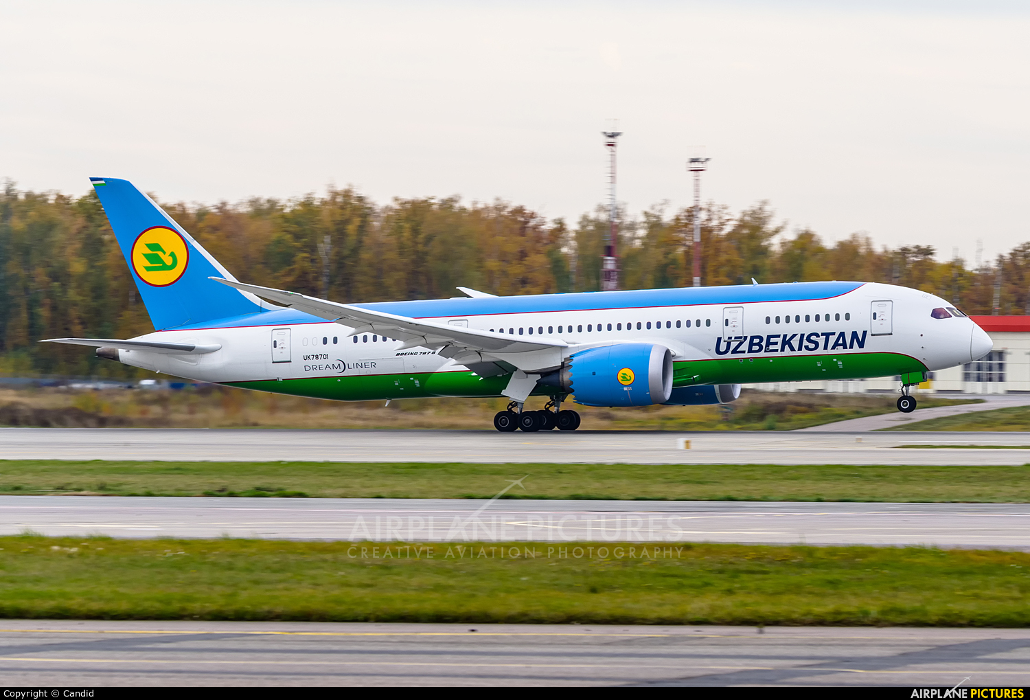 Uzbekistan Airways UK-78701 aircraft at Moscow - Domodedovo