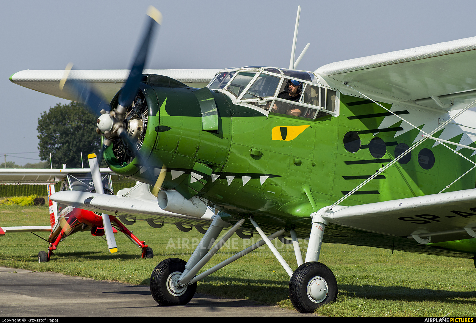 Aeroklub Krakowski SP-AOF aircraft at Kraków - Pobiednik Wielki