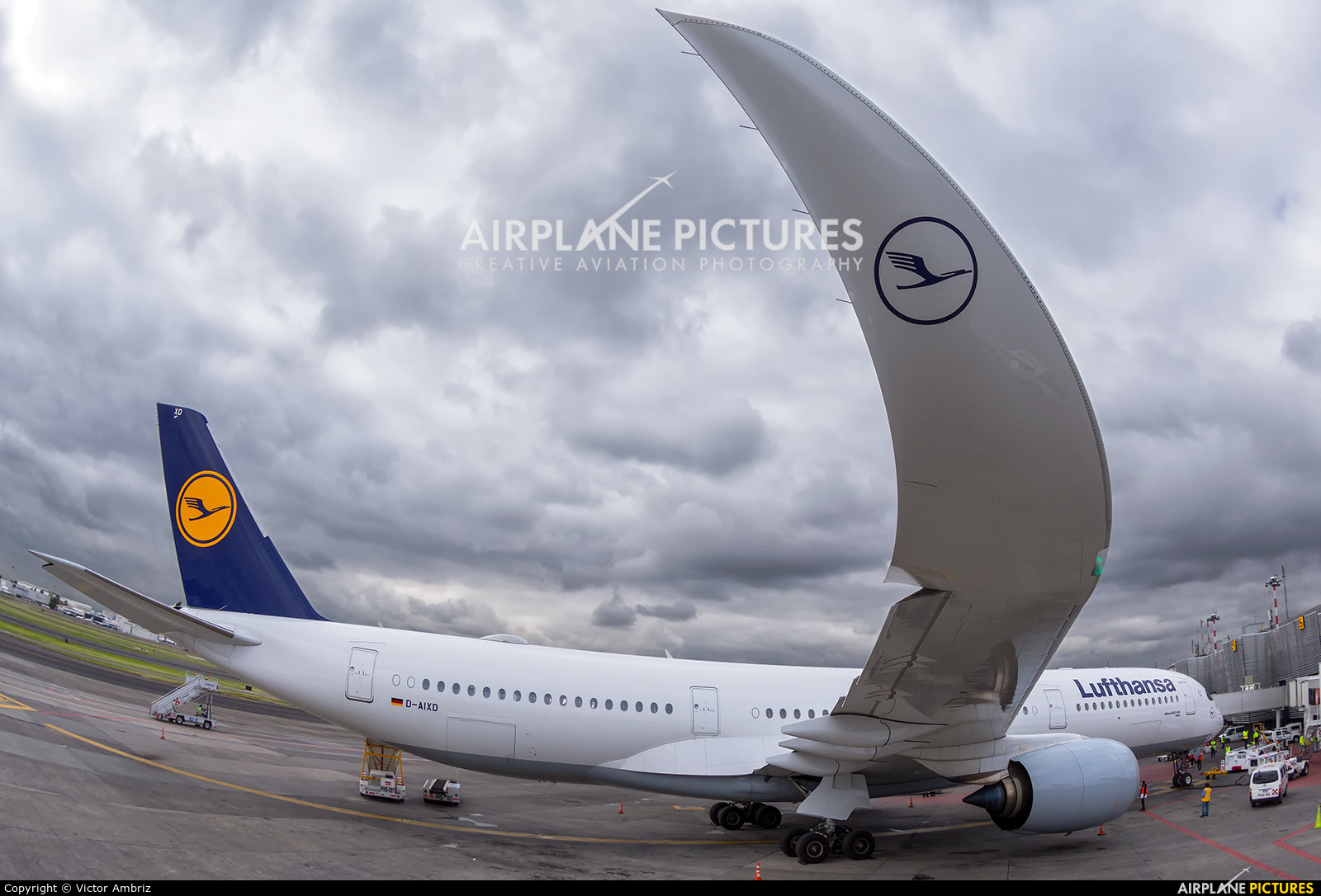 Lufthansa D-AIXD aircraft at Mexico City - Licenciado Benito Juarez Intl
