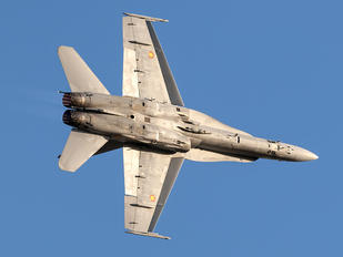 C.15-31 - Spain - Air Force McDonnell Douglas EF-18A Hornet
