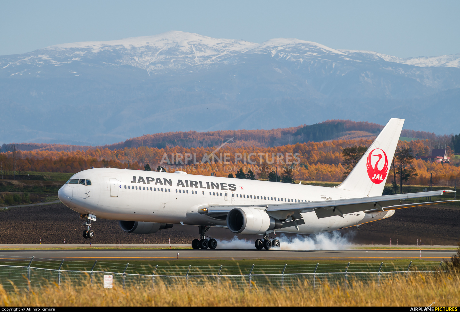 JAL - Japan Airlines JA659J aircraft at Asahikawa
