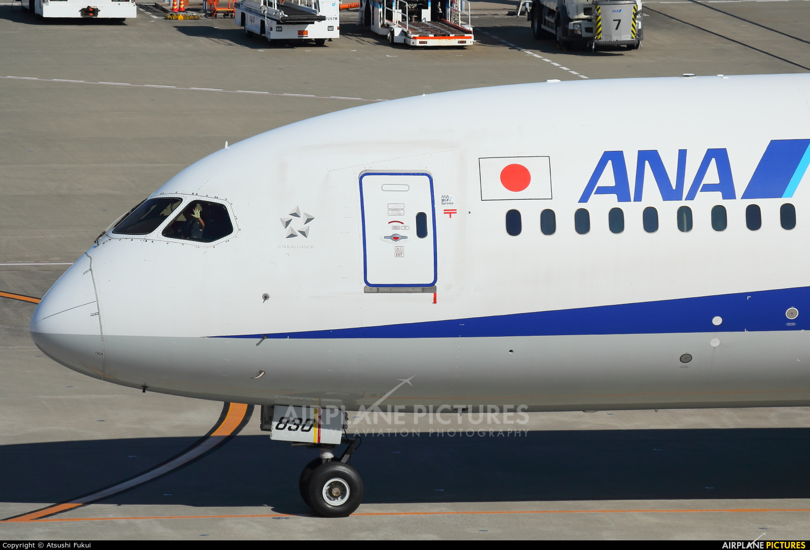 ANA - All Nippon Airways JA830A aircraft at Tokyo - Haneda Intl