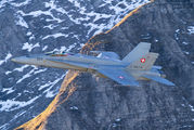 J-5020 - Switzerland - Air Force McDonnell Douglas F/A-18C Hornet aircraft