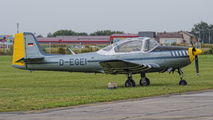 D-EGEI - Private Piaggio P.149 (all models) aircraft