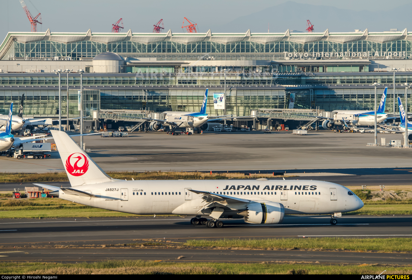 JAL - Japan Airlines JA827J aircraft at Tokyo - Haneda Intl