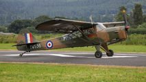 G-BNGE - Private Auster AOP6 aircraft