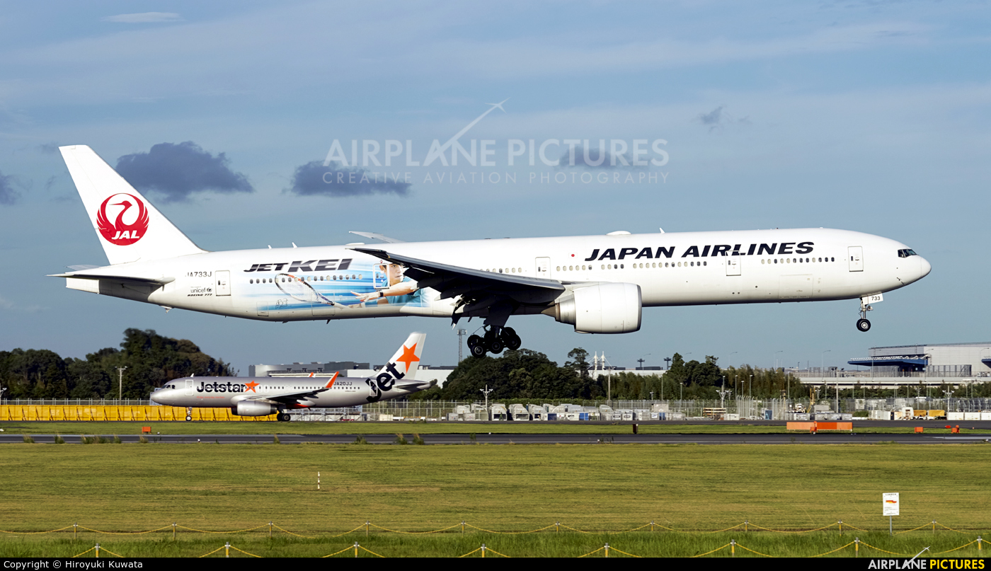 JAL - Japan Airlines JA733J aircraft at Tokyo - Narita Intl