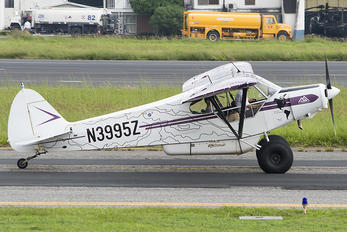 N3995Z - Private Piper PA-18 Super Cub