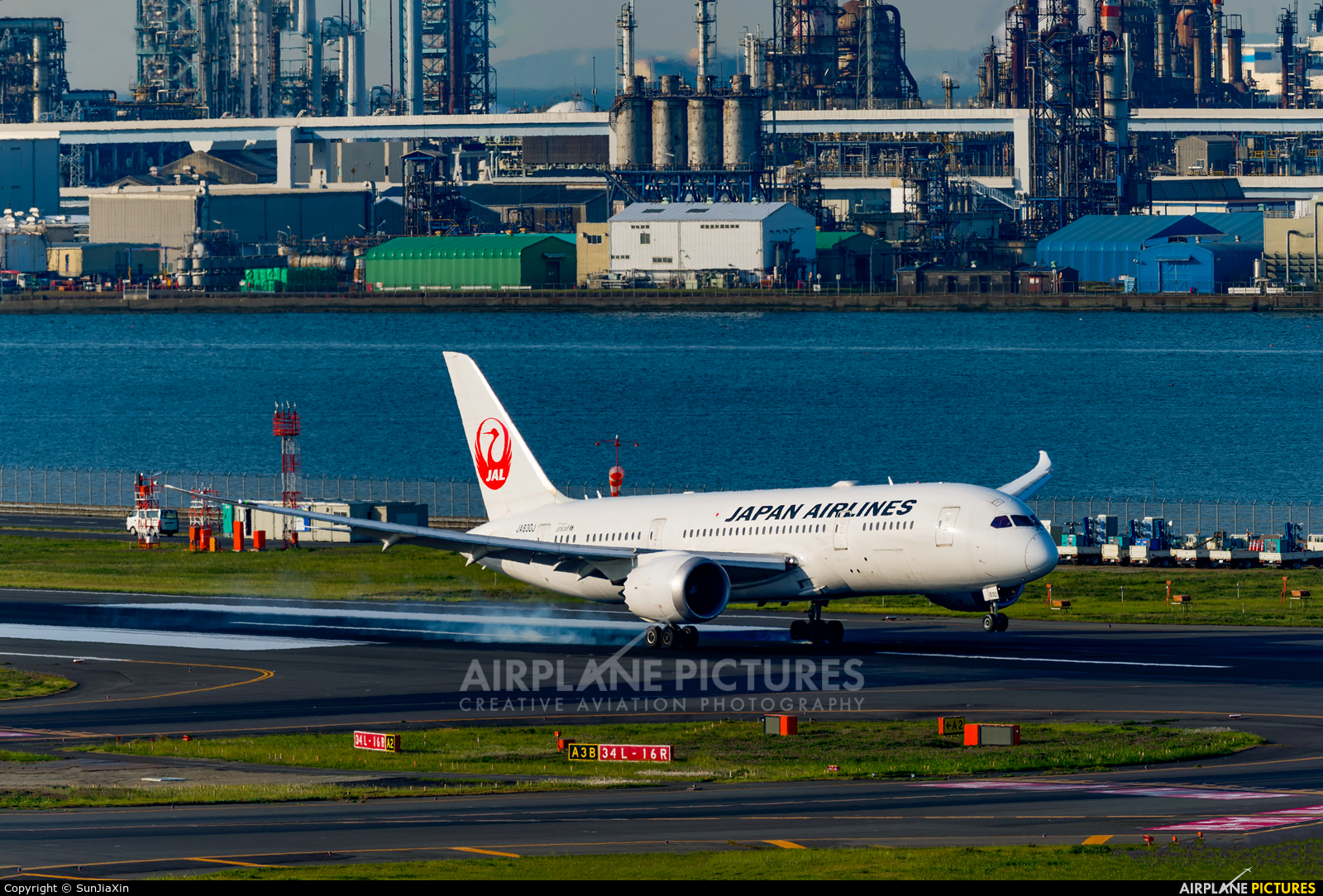 JAL - Japan Airlines JA830J aircraft at Tokyo - Haneda Intl