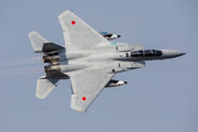 92-8094 - Japan - Air Self Defence Force Mitsubishi F-15DJ aircraft