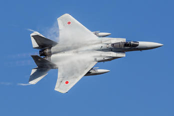 62-8869 - Japan - Air Self Defence Force Mitsubishi F-15J