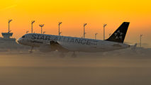 Lufthansa D-AIPC image