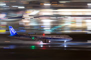 ANA - All Nippon Airways JA138A image