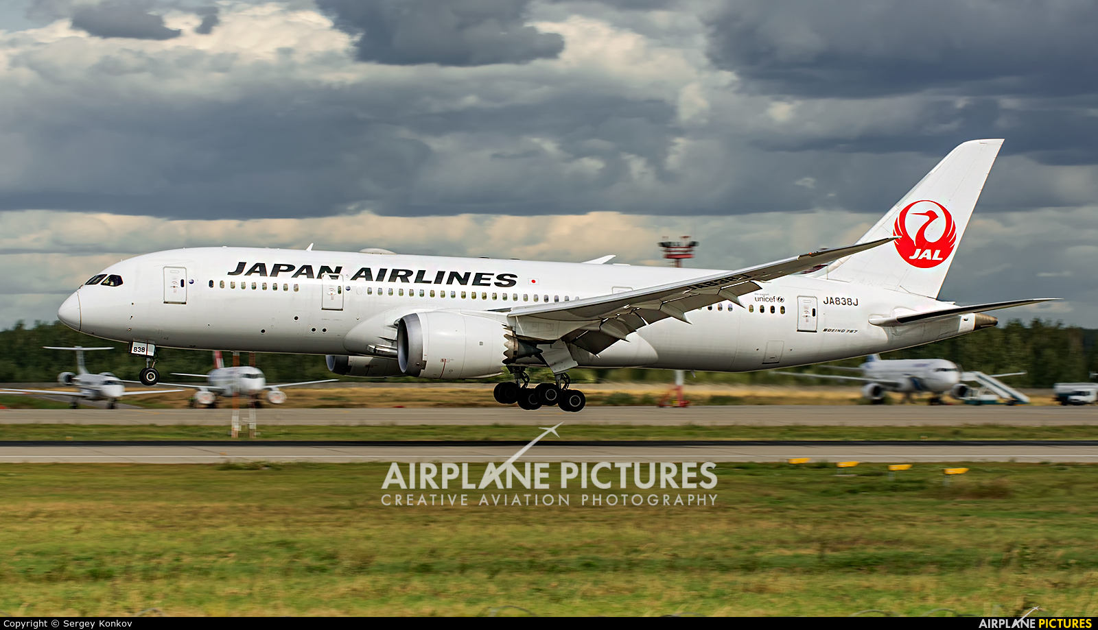JAL - Japan Airlines JA838J aircraft at Moscow - Domodedovo