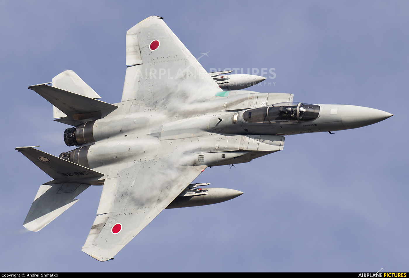 Japan - Air Self Defence Force 52-8855 aircraft at Nyutabaru AB