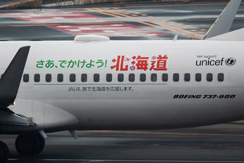 JA306J - JAL - Japan Airlines Boeing 737-800