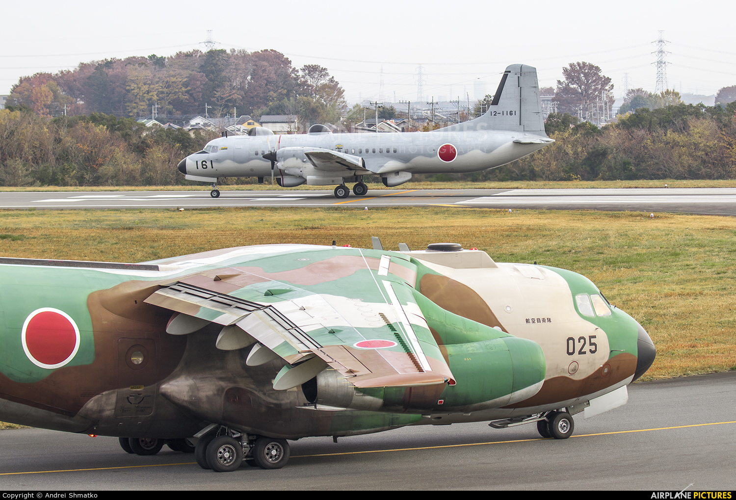 Japan - Air Self Defence Force 12-1161 aircraft at Iruma AB