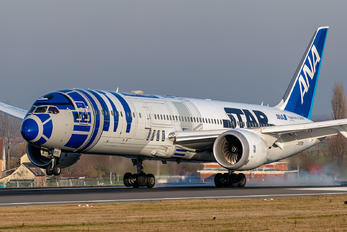 JA873A - ANA - All Nippon Airways - Airport Overview - Photography Location