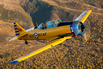 N421QB - Commemorative Air Force Canadian Car & Foundry Harvard