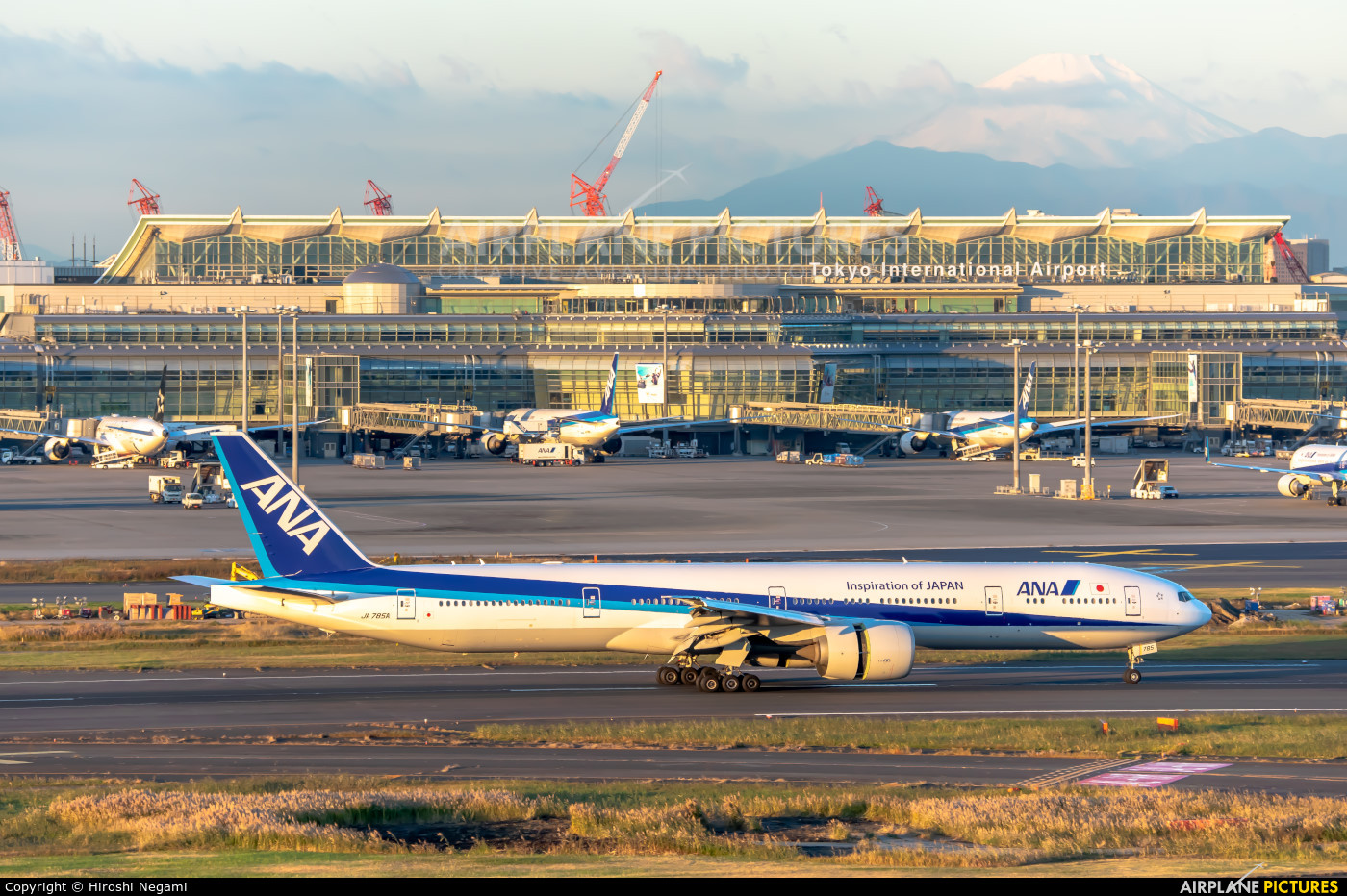 ANA - All Nippon Airways JA785A aircraft at Tokyo - Haneda Intl