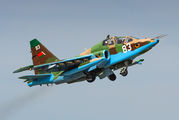83 - Belarus - Air Force Sukhoi Su-25UB aircraft