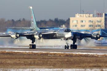 RF-94186 - Russia - Air Force Tupolev Tu-95MS