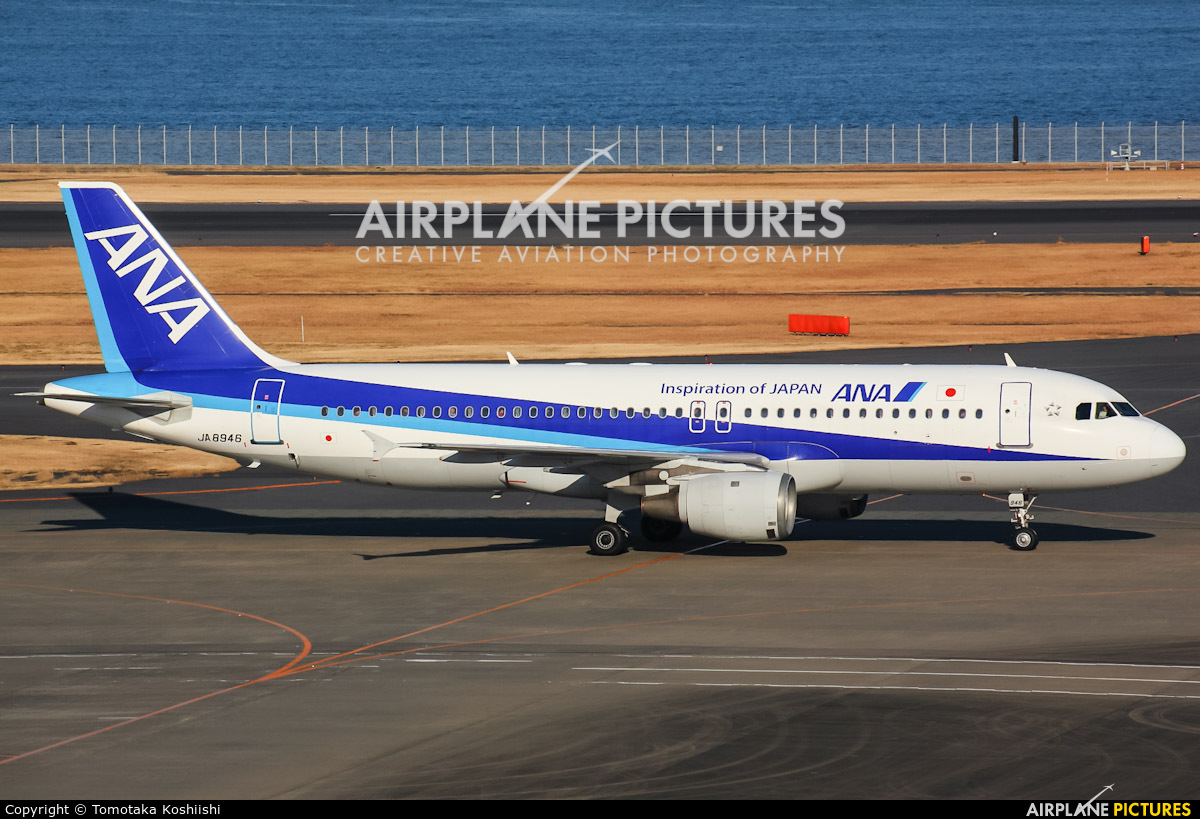 ANA - All Nippon Airways JA8946 aircraft at Tokyo - Haneda Intl