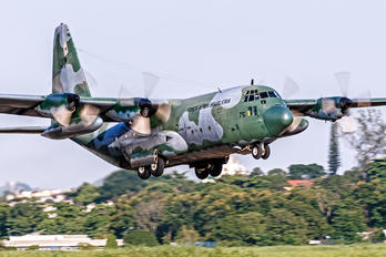 2475 - Brazil - Air Force Lockheed C-130H Hercules