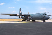 3617 - Mexico - Air Force Lockheed C-130K Hercules aircraft
