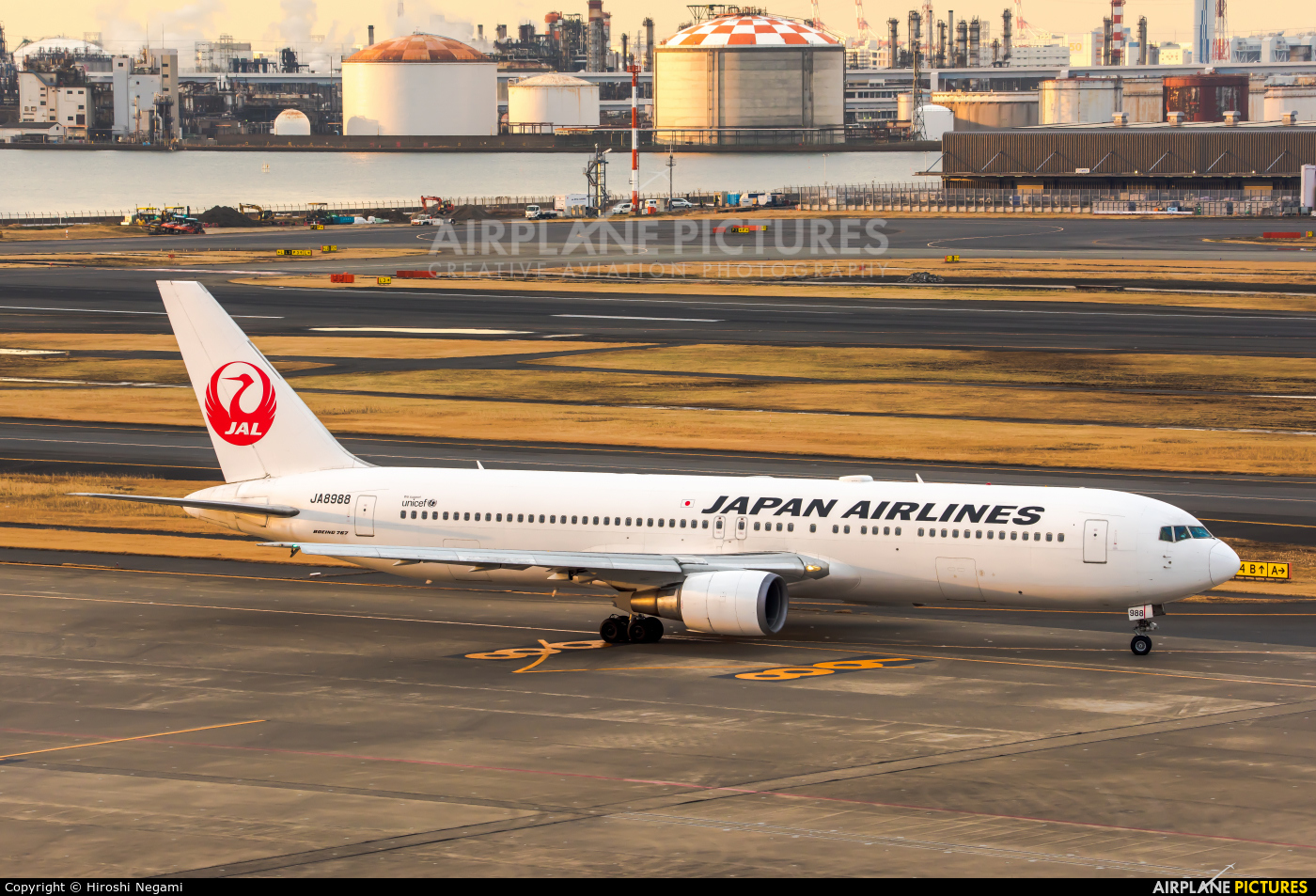 JAL - Japan Airlines JA8988 aircraft at Tokyo - Haneda Intl