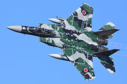 32-8083 - Japan - Air Self Defence Force Mitsubishi F-15DJ aircraft