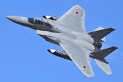32-8082 - Japan - Air Self Defence Force Mitsubishi F-15DJ aircraft