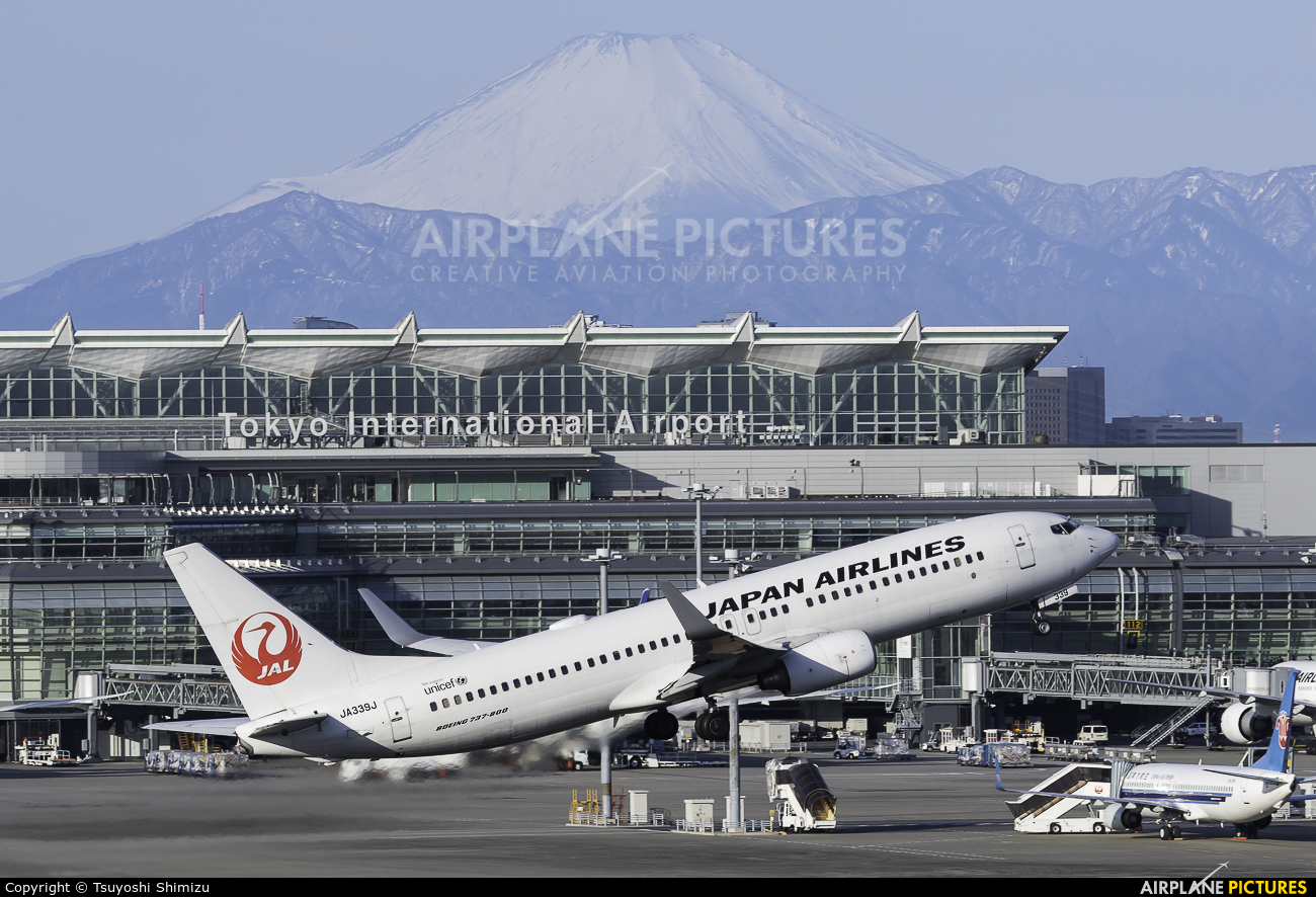 JAL - Japan Airlines JA339J aircraft at Tokyo - Haneda Intl