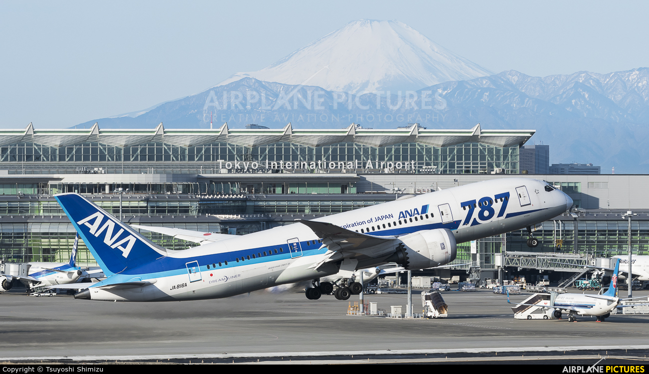ANA - All Nippon Airways JA816A aircraft at Tokyo - Haneda Intl