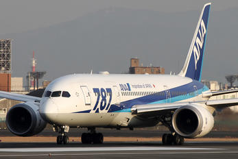 JA821A - ANA - All Nippon Airways - Airport Overview - Overall View