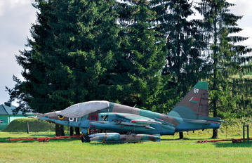81 - Belarus - Air Force Sukhoi Su-25UB