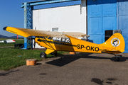 Aeroklub Nowy Targ SP-OKO image