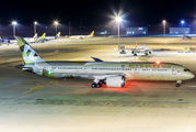 Etihad Airways A6-BLR image