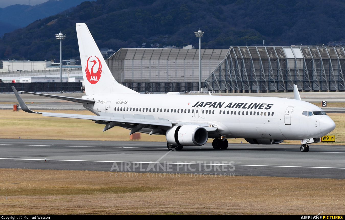 JAL - Japan Airlines JA302J aircraft at Osaka - Itami Intl