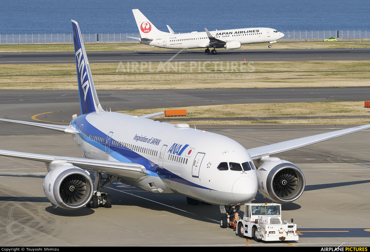 ANA - All Nippon Airways JA810A aircraft at Tokyo - Haneda Intl
