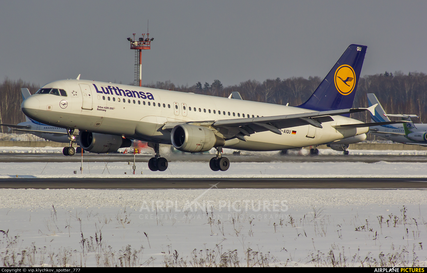 Lufthansa D-AIQU aircraft at Moscow - Domodedovo