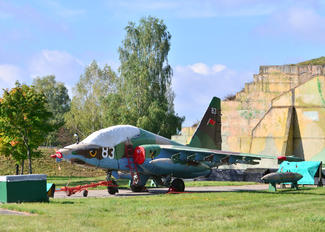 83 - Belarus - Air Force Sukhoi Su-25UB