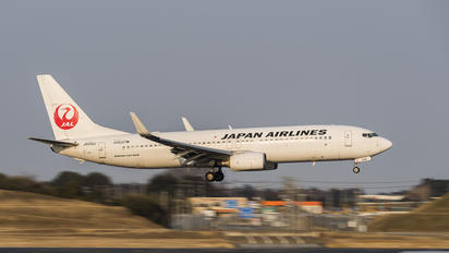 JA312J - JAL - Japan Airlines Boeing 737-800